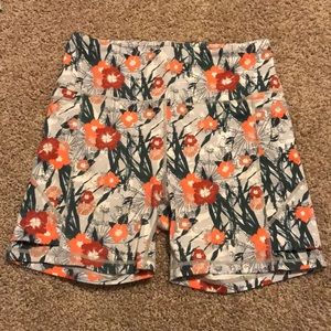 Senita Freesia Baselines